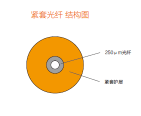 开云（中国）